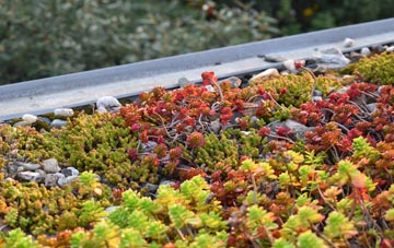 the cost of Thorpeness green roof installation