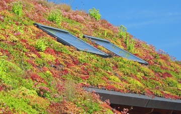 Thorpeness living roof systems