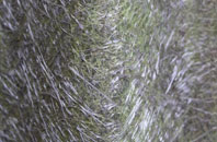 Thorpeness fibreglass roof work